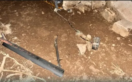 Medyaya hikumetê wêneyên cihê moşek jê hatine avêtin parve kirin