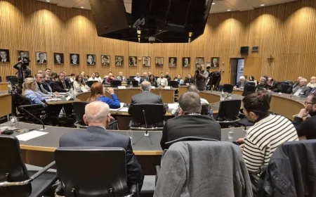Parlamenterên Alman: Sîstema nenavendî vebijêrka herî guncaw e