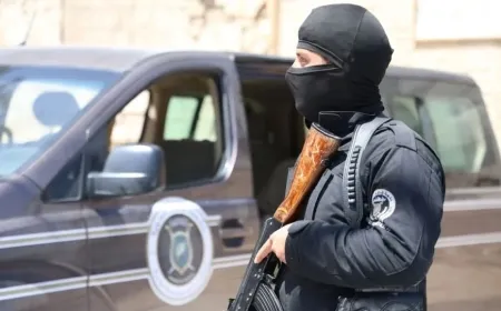 Endamekî hêzên hikumetê li kalemêrekî astengdar da