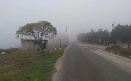 Li Hemayê êriş û talankirin