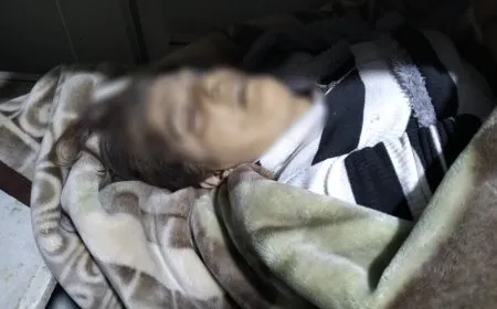 Di êrişa Helebê de jinek şehîd bû, 17 kes jî birîndar bûn