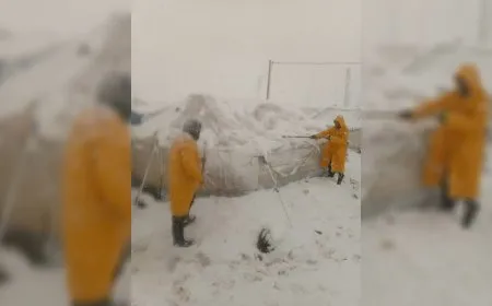 Li kampa Newroz komîteyên awarte hatin avakirin