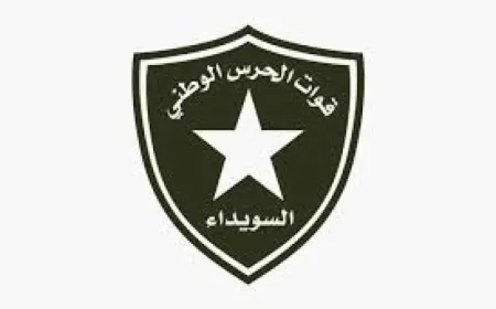Li bajarokê Mecdel ê Siwêdayê dronek hat xistin