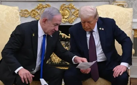 Trump: Divê Hemas çekên xwe deyne