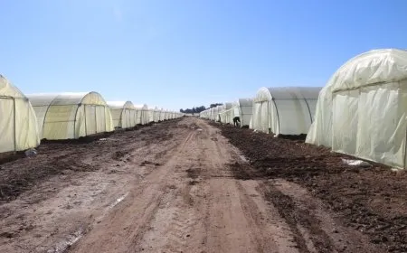 Li Tebqayê mezintirîn projeya serayan hat destpêkirin