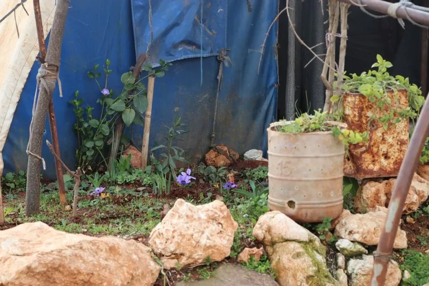 Jinên ji Efrînê: Bi dagirkeriyê ewlehî nabe