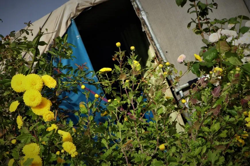 Jinên ji Efrînê: Bi dagirkeriyê ewlehî nabe