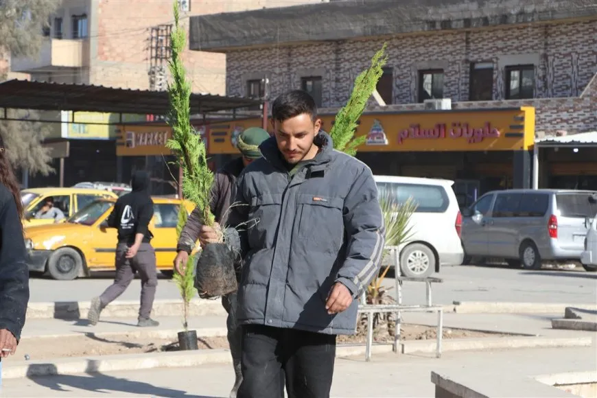 Şaredariya Hesekê 300 dar çandin