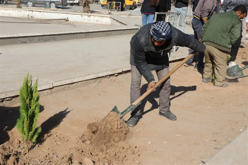 Şaredariya Hesekê 300 dar çandin