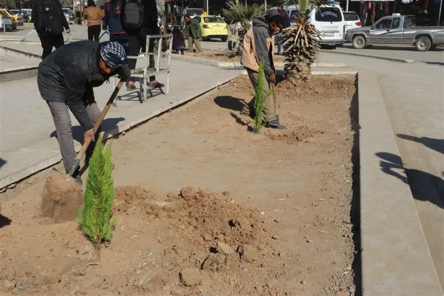 Şaredariya Hesekê 300 dar çandin