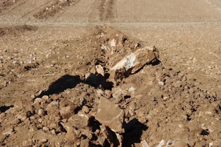  Projeyên Meclisa Aborî û Çandiniyê aktîf dibin