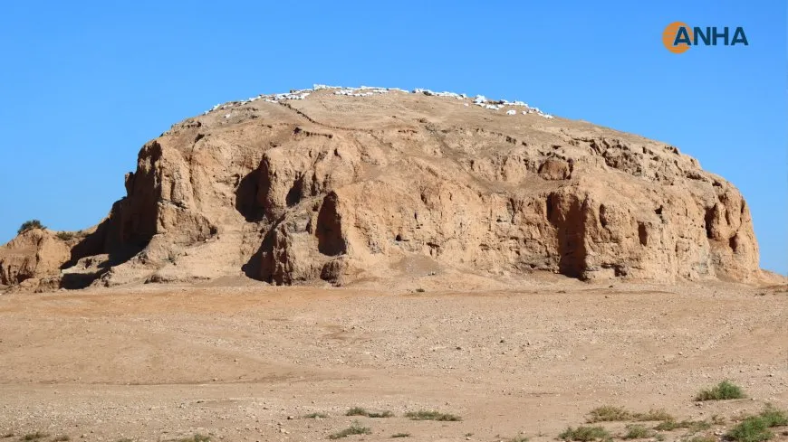 Li Cizîrê zêdetirî hezar cihên şûnwarî hene