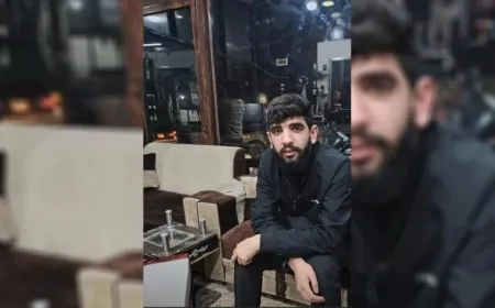 Çeteyan ciwanek li Efrînê revand