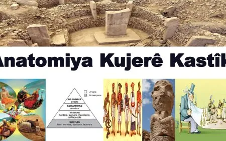 Anatomiya Kujerê Kastîk