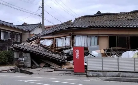 Li peravên Japonyayê erdhej