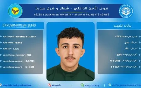 Endamekî Hêzên Ewlekariya Hundirîn şehîd bû