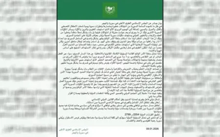 Meclisa Îslamî ya Elewî bang li civata navneteweyî kir: Demildest destwerdanê bike
