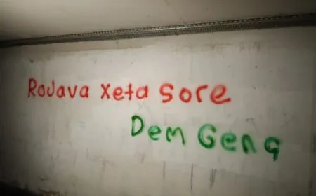 Ciwanên kurd berxwedana Rojava silav kirin