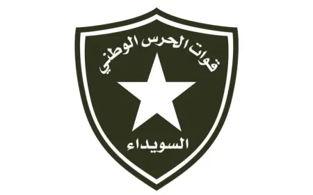 Li Siwêdayê Parêzvanên Niştimanî êrişên hikûmeta demkî têk birin