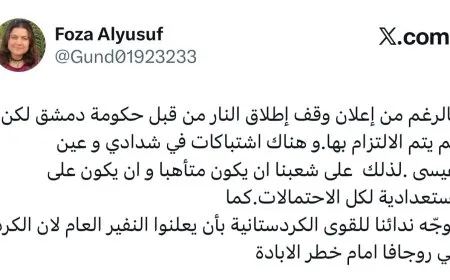 Foza Yûsif bang li hêzên Kurdistanî kir: Seferberiya giştî ragihînin