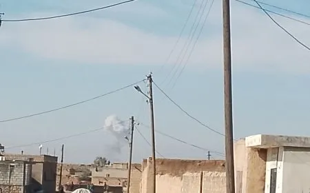 Depoyên genim ên Holê hatin topbarankirin