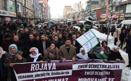 Li Gever, Bazîd, Amed, Êlih û Erzîromê çalakî; bijî Berxwedana Rojava
