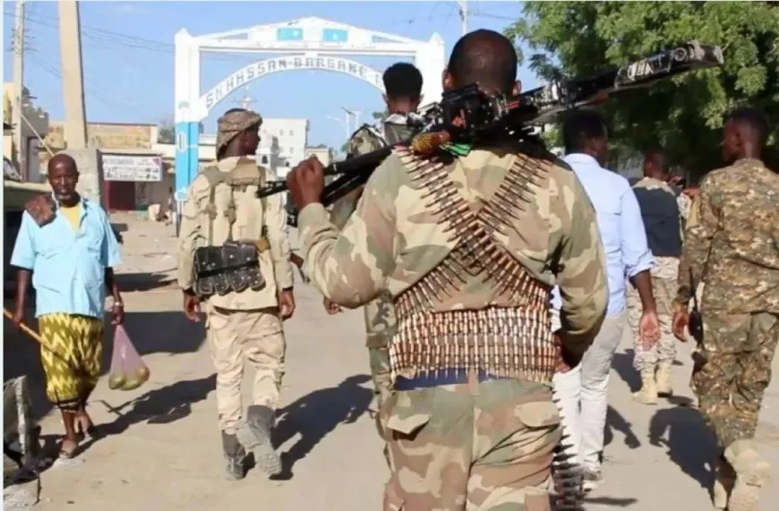 Di operasayona artêşa Somaliye de 15 çeteyên Tevgera Ciwanan hatin kuştin