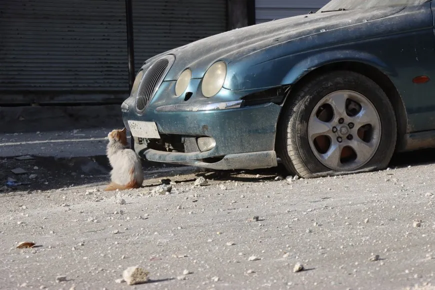 Di êrişên li dijî taxên Helebê de zirarên mezin çêbûn