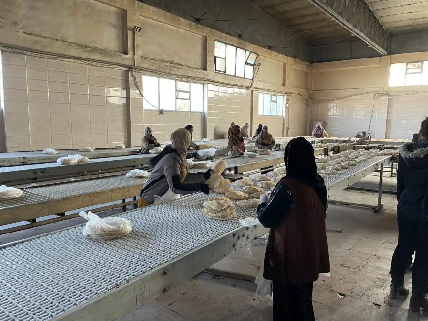 Li Hesekê di her warî de serferberî