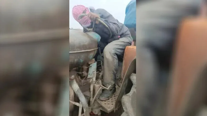 Li Reqayê Kurdekî hewl dida ji hovîtiya çeteyan bireve hat qetilkirin