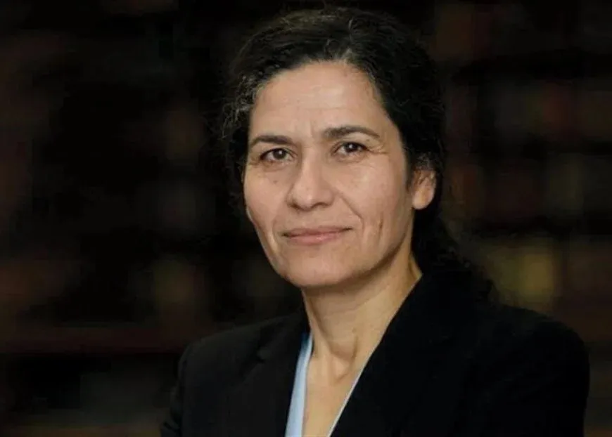 Îlham Ehmed: Hikumeta demkî agirbestê pêk nayne