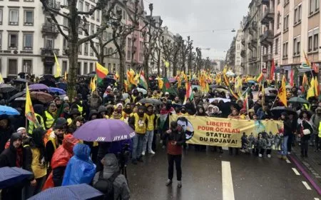 Li Strasbûrgê çalakiyeke navendî: Ji Rêber Apo re azadî ji Rojava re statû