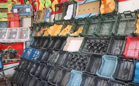 29 roj e Kobanê di bin dorpêçeke giran de ye