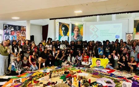 Şandeya jinan a ji Rojava hevdîtinan li Amerîkaya Latîn pêk tîne