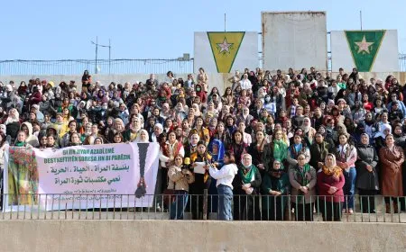 Ji bo misogerkirina mafên jinan di destûra Sûriyeyê de kampanyayekê dest pê kir