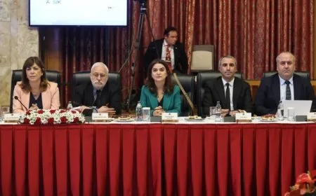 DEM Partî: Divê zimanê raporê ne yekalî be lê tevkarî be