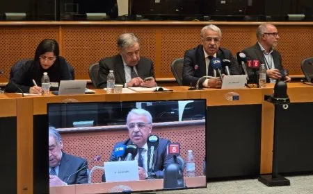 Mîthat Sancar li PE’yê axivî: Pêvajo derfetekî dîrokî ye