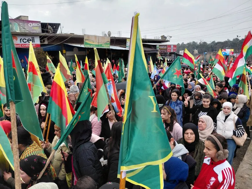 Meşên li Qamişlo, Dirbesiyê û Amûdê destpê kirin
