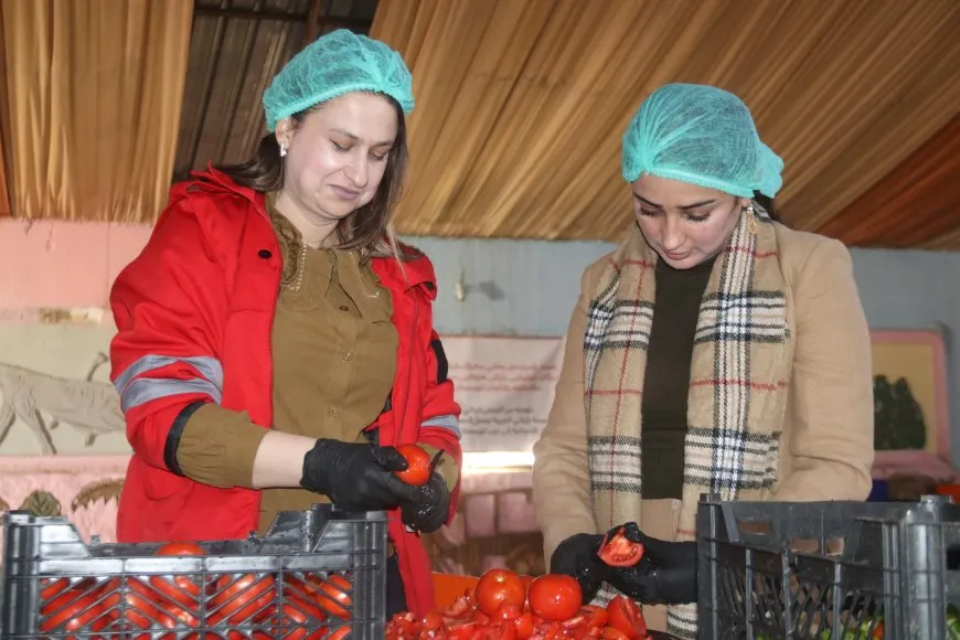 Li Amûdê belavkirina alîkariyan li koçberan didome