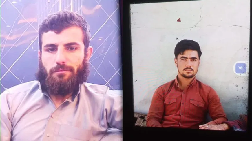 Komên hikumetê 2 ciwan li gundekî Kobanê revandin