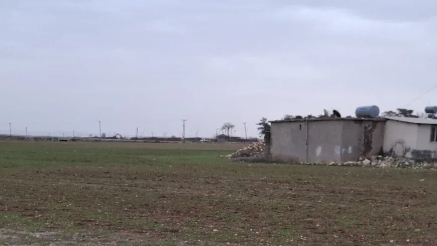 9 roj e leşkerên Tirk li ser sînorê Kobanê xendekan dikolin