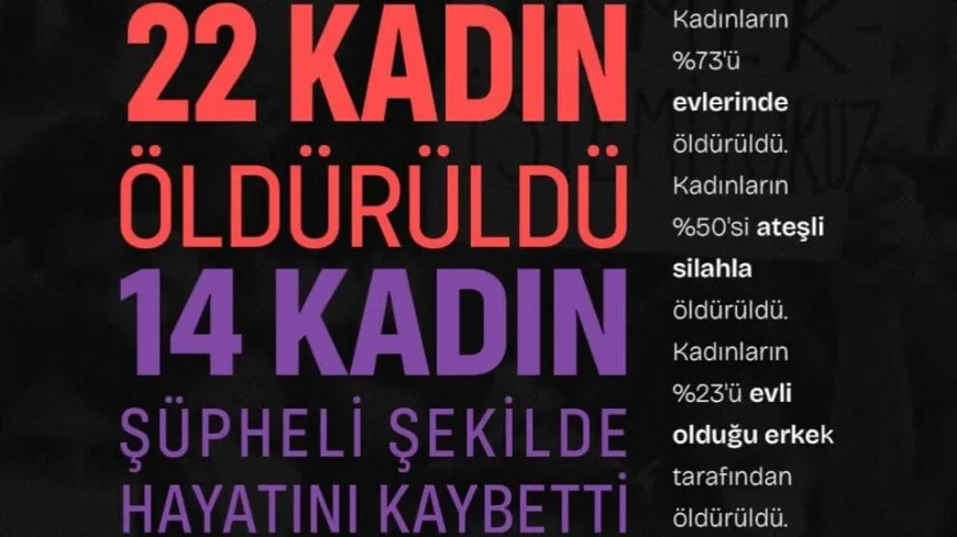 Rapora Çileyê ya KCDP: 22 jin hatin qetilkirin