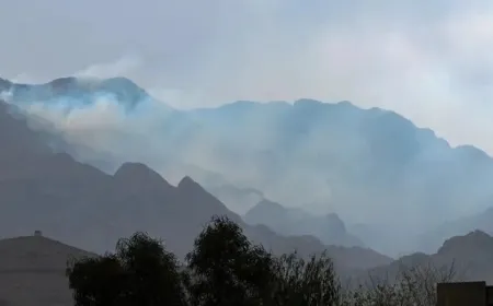 Afganistanê Pakistan bi bombebarana Kabulê tawanbar kir