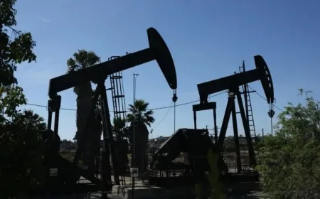 Buhayên petrolê ji sedî 5 zêdetir bûn
