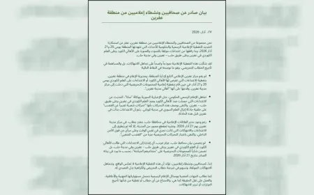 Rojnamevan û çalakvanên ji Efrîn: Paşguhkirina binpêkirinên belgekirî tehrîkê rewa dike