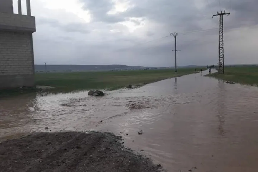 Li Sûriyeyê piştî baranê ava binerd û ya bendavan zêde bûne -ANHA