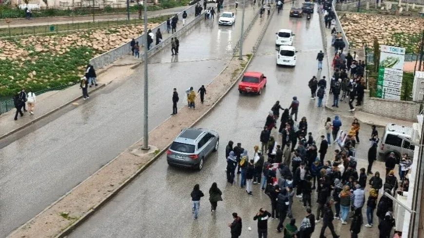 Li Nisêbînê ciwanên ku Newroz pîroz kirin hatin binçavkirin
