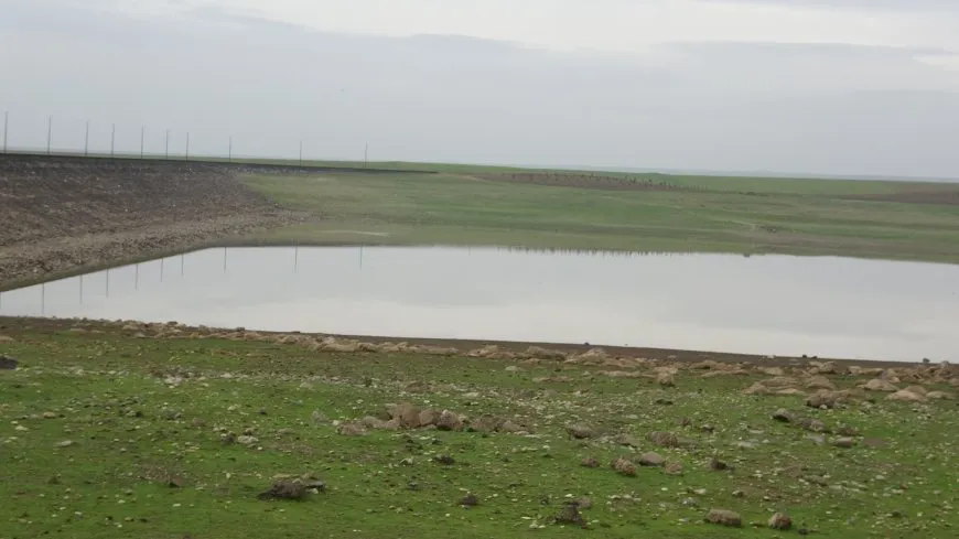 Piştî salên ziwahiyê li herêma Aliyan kanî der bûn û ava çeman zêde bû