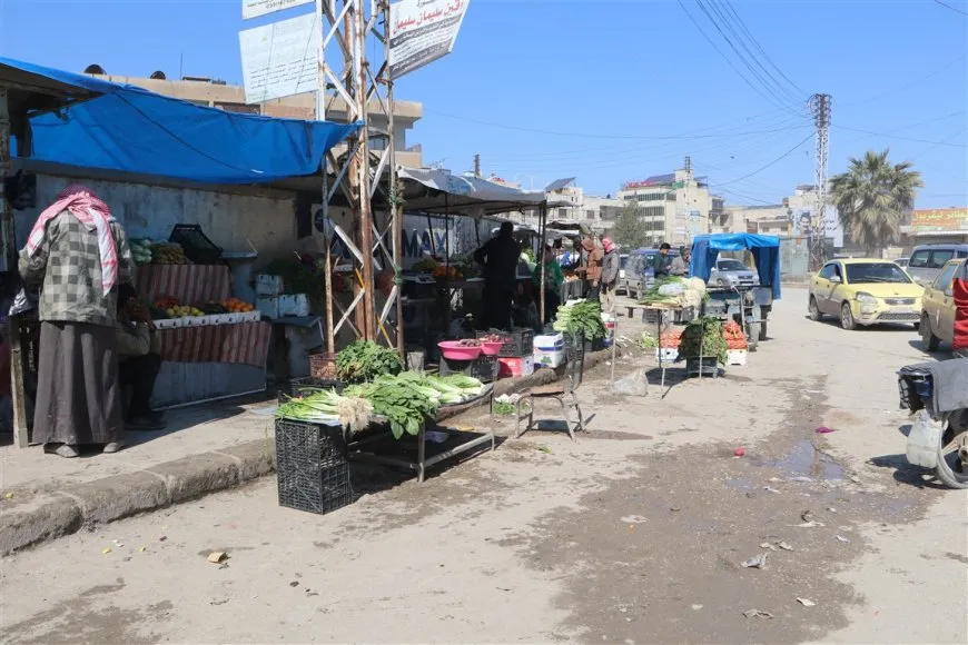 Bikaranîna peyarêyan tevgera şêniyan asteng dike