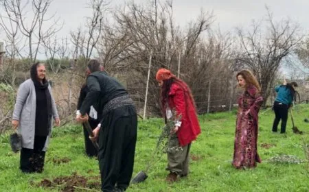 Li Silêmaniyê Rojbûna Rêber Apo bi çandina daran hat pîrozkirin